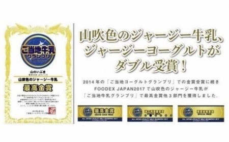 山吹色のジャージーヨーグルトセット 山吹色のジャージーヨーグルト 飲むヨーグルト 150ml 12本 ヨーグルト ジャージーヨーグルト ジャージー牛乳  乳製品 乳飲料 健康 腸活 免疫力アップ 乳酸菌 ご当地牛乳グランプリ 最高金賞 ご当地 ギフト 贈答用 山のいぶき 熊本 阿蘇 南小国町 送料無料
