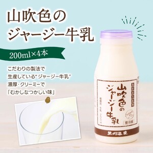 山吹色のジャージー牛乳 人気3種セット 3種 12本 ジャージー牛乳 飲むヨーグルト 牛乳 200ml 150ml カフェオレ コーヒー牛乳 詰め合わせ アソート セット 乳製品 飲料 健康 腸活 免疫力アップ 乳酸菌 ご当地牛乳グランプリ 最高金賞 ご当地 ギフト 贈答用 山のいぶき 熊本 阿蘇 南小国町 送料無料