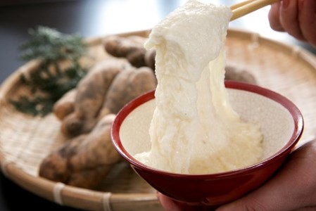 E118 徳地やまのいも800g袋（ご家庭用）×1袋