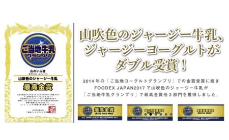 山吹色のジャージー牛乳・ヨーグルトセット 黒川温泉 山吹色のジャージー牛乳 飲むヨーグルト 2種 11本 ジャージー牛乳 900ml のむヨーグルト 150ml 詰め合わせ アソート セット 乳製品 飲料 健康 腸活 免疫力アップ 乳酸菌 ご当地牛乳グランプリ ご当地 ギフト 贈答用 山のいぶき 熊本 阿蘇 南小国町 送料無料