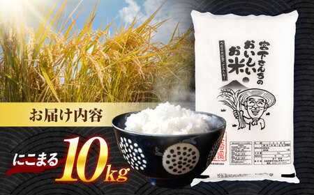 (令和7年産)特別栽培米 にこまる10kg  / 米 こめ コメ おこめ お米 白米 精米 にこまる kome 長崎県産 / 諫早市 / 宮下農園  [AHCG009]