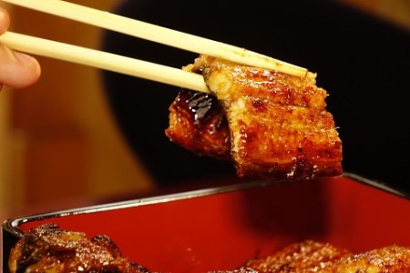 三河一色産　うなぎ手焼き【蒲焼パック2尾(1尾150g～180g)】・U033-25