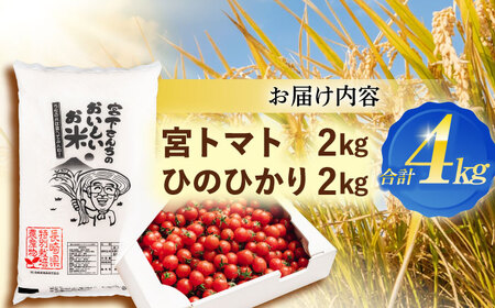「宮トマト」2kg・特別栽培米「ひのひかり」2kg / トマト とまと ミニトマト プチトマト 野菜 やさい 米 コメ こめ おこめ お米 白米 ひのひかり ヒノヒカリ   / 諫早市 / 株式会社宮下農園[AHCG014]