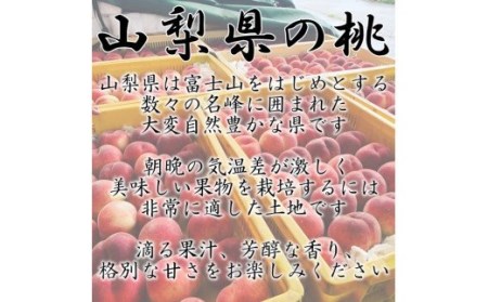 ＜2026年発送先行予約＞山梨県南アルプス市産 高糖度 桃 【約2ｋｇ 5～8玉】 ALPAH021 | 山梨県産もも 桃 高糖度桃 高評価もも 大人気桃 南アルプス市産もも 厳選桃 |