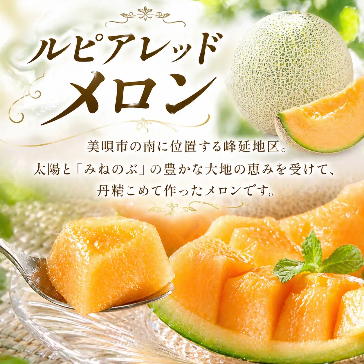 【2026年発送】【先行予約】【数量限定】美唄市産ルピアレッドメロン３玉（赤肉） ｜ メロン