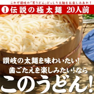 ≪自然の館≫味源 うどんバカ店長　本場讃岐の本生うどん食べ比べセット40人前　純生タイプ【A-71】 