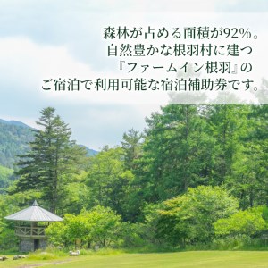自然の中の隠れ家★コテージ一棟貸 根羽ヴィレッジ(30,000円分) コテージ 旅行 キャンプ BBQ