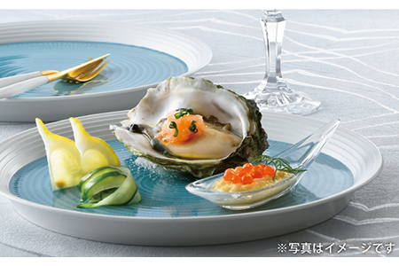 【波佐見焼】ブルースプレッド 24cm 丸皿 プレート 2枚セット 食器 皿 【一真窯】 [BB46]  波佐見焼