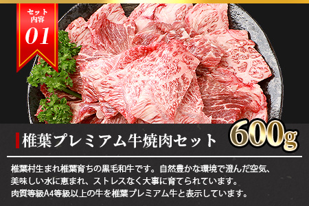  総重量2.1kg 【3種の 牛肉 】焼肉 食べ比べセット ≪ 椎葉牛 椎葉プレミアム牛 宮崎県産和牛 ≫ 国産牛 黒毛和牛 和牛 牛肉 赤身 肉 焼肉 バーベキュー セット TK-52