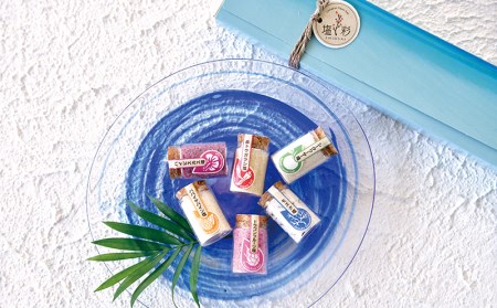 塩彩フレーバーソルト10種プチボトルボックス（2セット）