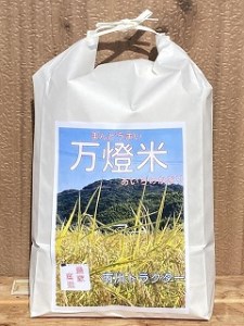 【令和7年産】＜万燈米＞【あいちのかおり 4.5kg×2袋】・I028-20