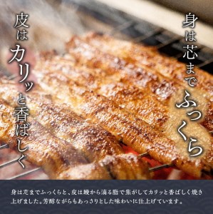 【名店の味！宮崎県産鰻】 ひむか山道うなぎ蒲焼２尾分（260ｇ以上）【 鰻 うなぎ 国産 蒲焼き 】