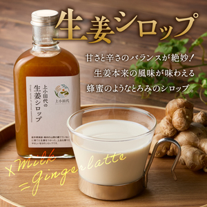 自家製生姜シロップ 200ml×3本 [T0008]