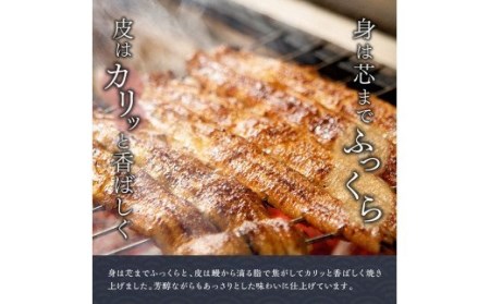 【名店の味！宮崎県産鰻】 ひむか山道うなぎ蒲焼２尾分と唐揚げ・肝焼のウナギセット うなぎ 蒲焼き