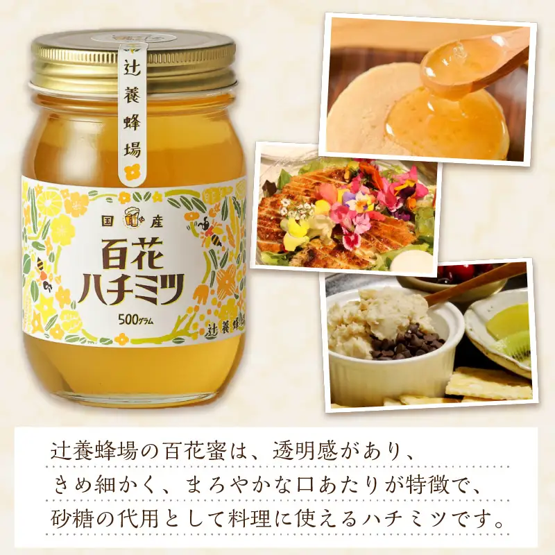 百花ハチミツ 500g×2【B6-020】