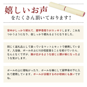 [ ドクターポール ] ポール ストレッチ 姿勢矯正 フィットネス アサヒ軽金属