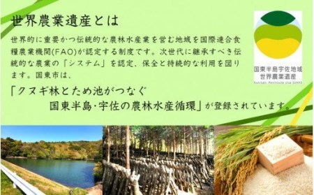乾し椎茸 冬菇180g（国東半島宇佐地域世界農業遺産ブランド認証品） / 椎茸 しいたけ シイタケ 乾物 国産_1886R