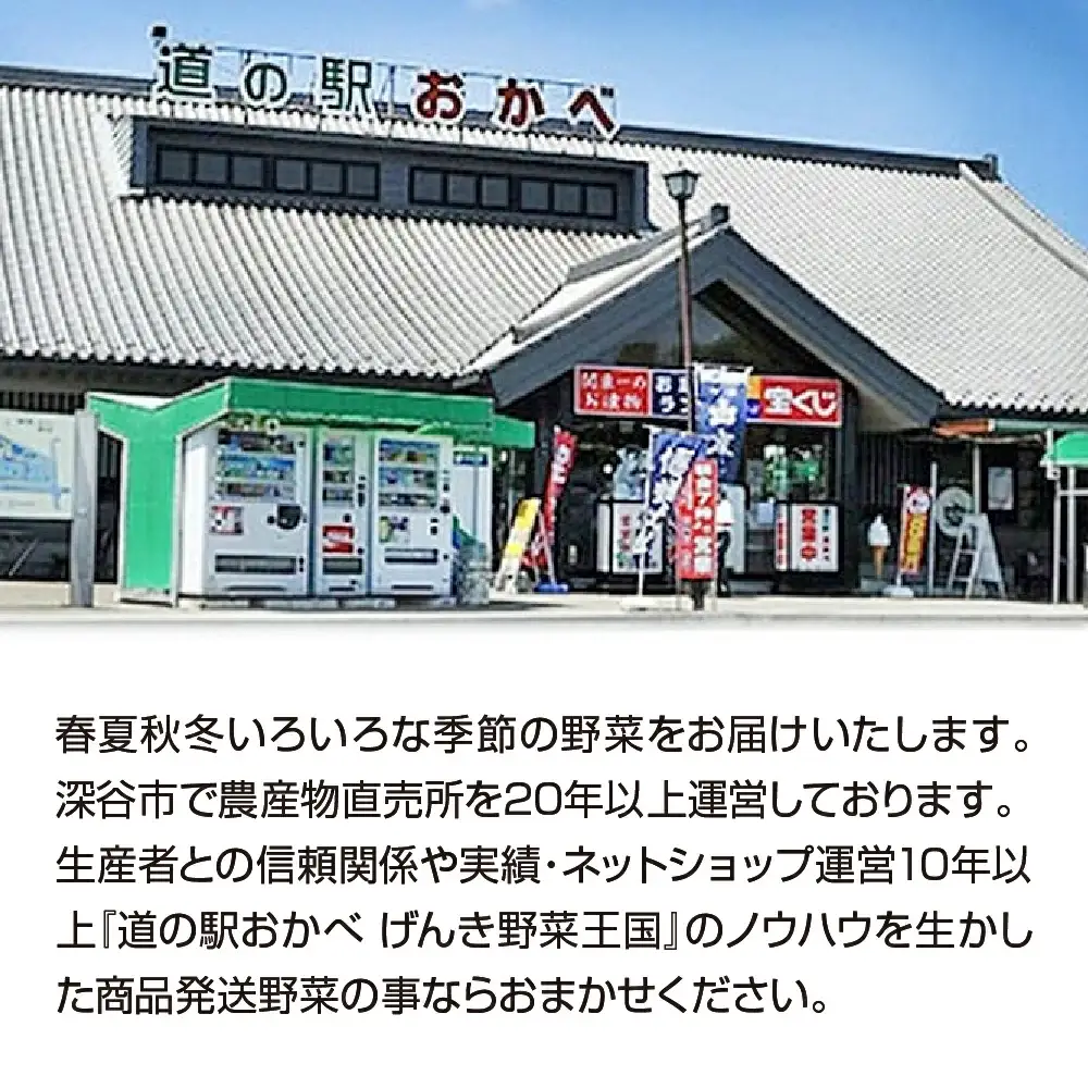 旬のラッキー7野菜セット（野菜7種詰合せ）【11218-0114】