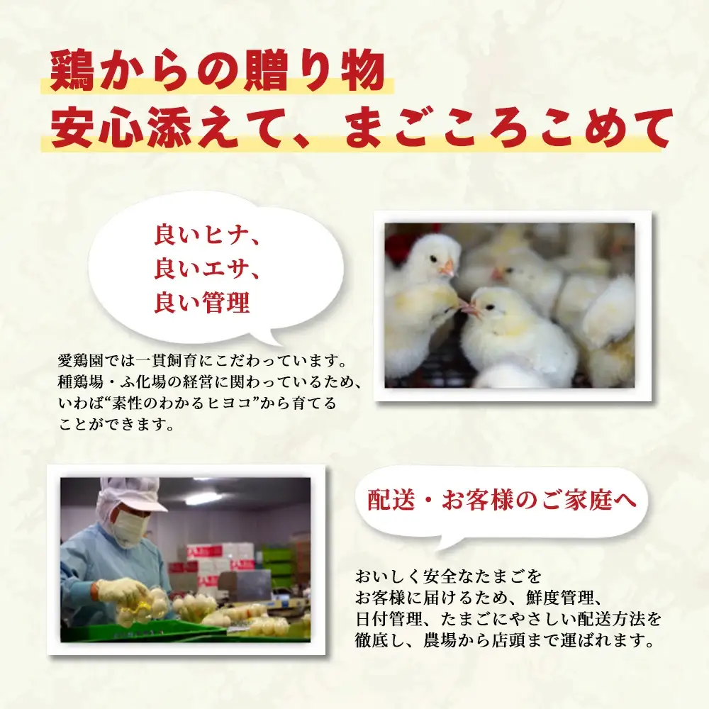 愛鶏園　紅白たまご60個　【11218-0037】