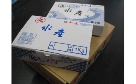 三河しらす 1.4kg（1kg箱入+400g化粧箱入） 魚介類 しらす シラス 国産 海の幸 ご飯のお供 おつまみ しらす丼 グルメ ギフト 贈り物 やみつき 冷凍 H018-048