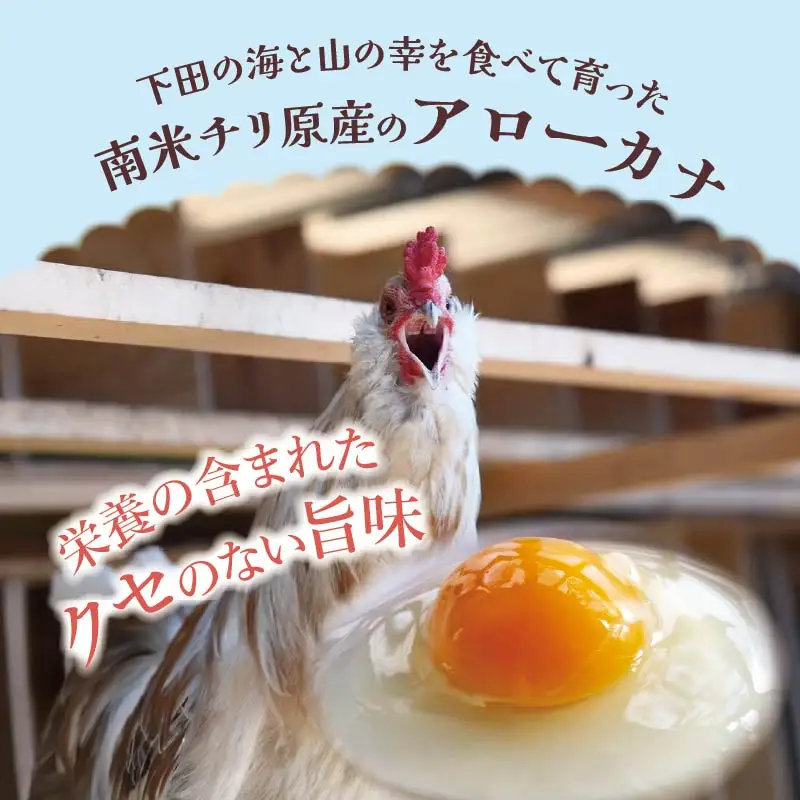 【farm1987】海と山からのおくりもの　下田ブルー(6個入り)4パック　[青い卵 アローカナ]