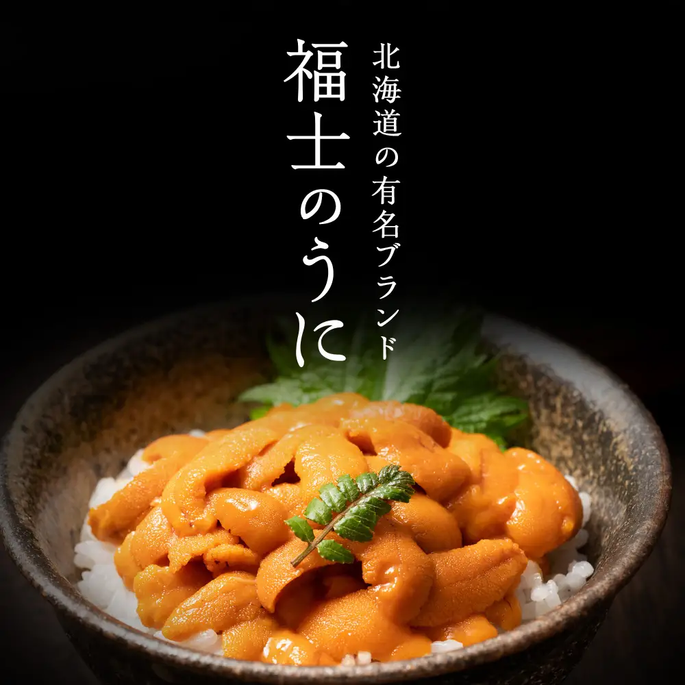 ★2026年7月発送★ 北海道 利尻島産 塩水生うに エゾバフンウニ 500g (100g×5パック)【福士水産】