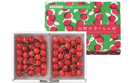 さくらんぼ 佐藤錦 700g バラ詰め Ｌサイズ 【令和8年産先行予約】FU21-613
