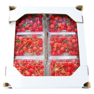 山形のさくらんぼ 紅秀峰 1080g(180g×6パック) Lサイズ以上 【令和8年産先行予約】FS25-520