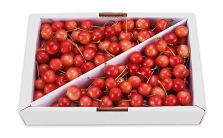 山形のさくらんぼ 紅秀峰 1kg Lサイズ以上 バラ詰め 【令和8年産先行予約】FS25-519