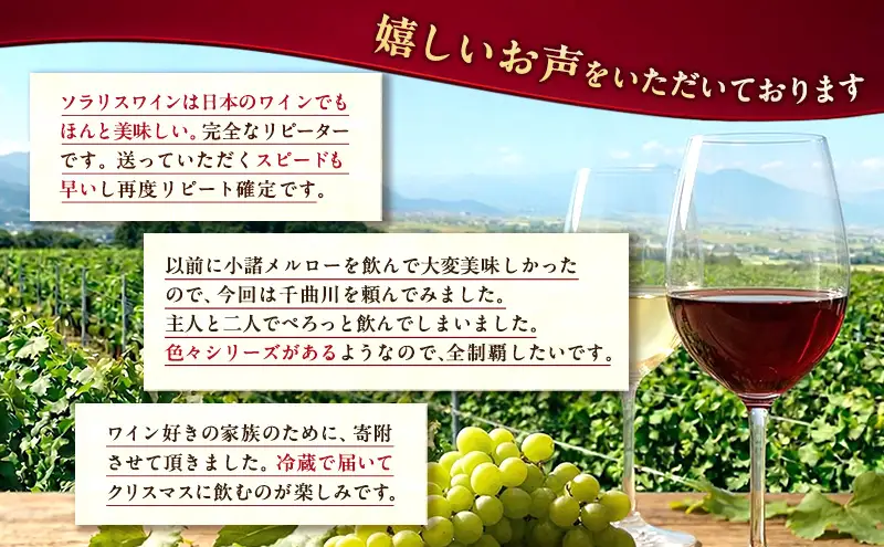 ワイン 信州ワイン 赤 ソラリス 千曲川 メルロー 赤ワイン マンズワイン 酒 お酒 洋酒 果実酒 ぶどう酒 長野 長野県小諸市 