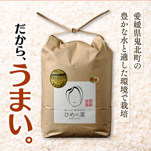 【先行予約】【R8年産】【愛媛県ブランド】ひめの凜 5kg（プレミアムクオリティ） ｜ お米 お米不足 お米品薄 おいしい お米 事業者支援 送料無料 白米 精米 国産 限定 ごはん ご飯 白飯 ゴハン 愛媛県産 鬼北町 ※2026年10月～発送
