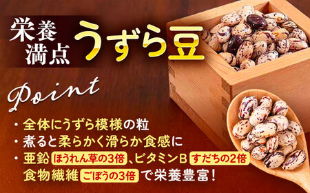 北海道 あしょろの中長うずら豆 1kg×2袋《足寄町》【党崎農場】[BEAA022]