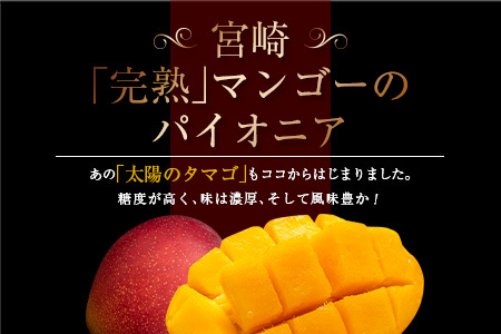 先行予約 数量限定 南国 宮崎 完熟マンゴー 3L × 2玉 A級品 化粧箱入り _DB31-24