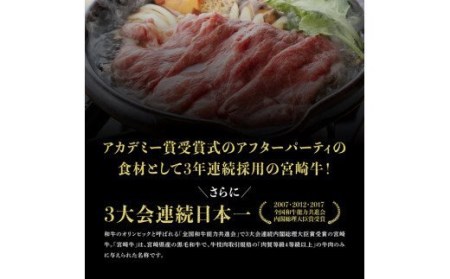 牛肉 【定期便】宮崎牛６ヶ月定期便Aスライスステーキ 焼肉