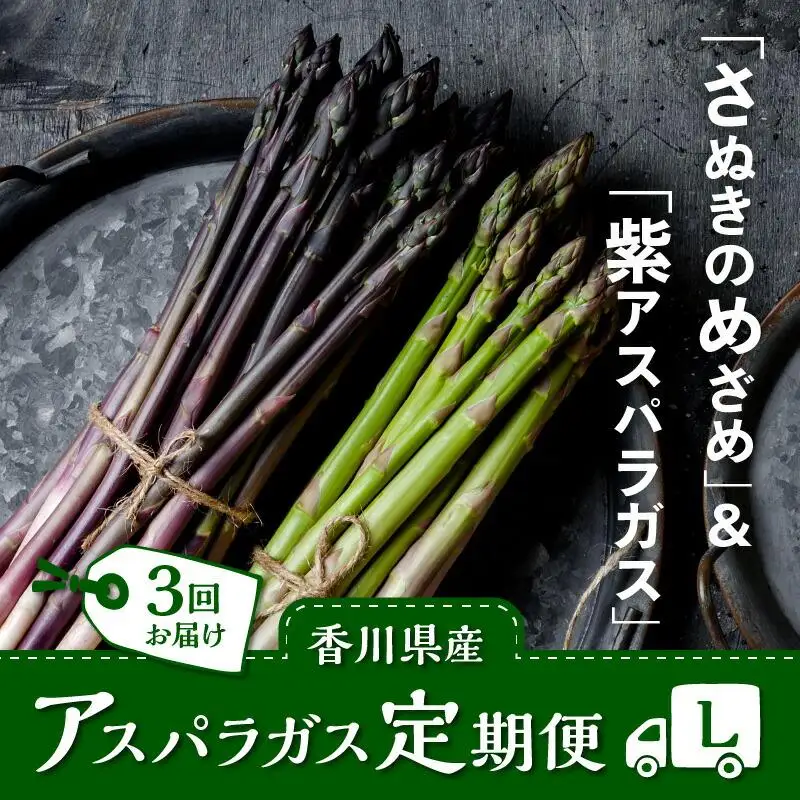 香川県産アスパラガス定期便L