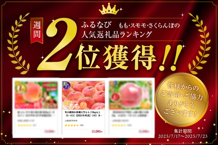 桃 旬の朝採れ特選大玉 桃 2.0kg以上（5～6玉）【2026年発送】（HO）B-411  フルーツ