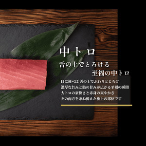 (1274)油谷産養殖本マグロ 中トロ柵 500g