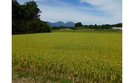 小諸 御牧ヶ原産 こしひかり 2kg 長野 信州 コシヒカリ 精米 美味しいお米 お取り寄せ おこめ 白米