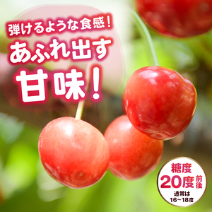甲州市産大粒さくらんぼ童夢の「紅秀峰」化粧箱（約300g 3Lサイズ）【2026年発送】（DOM）B15-185