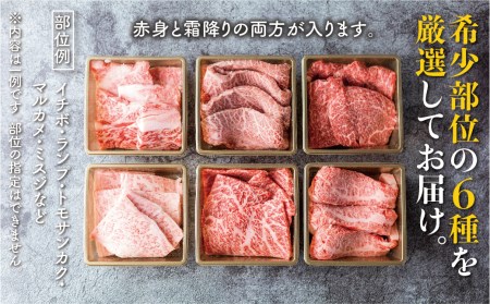 飛騨牛 焼肉6種食べ比べ 希少部位 各100g 飛騨牛 [Q1034x]