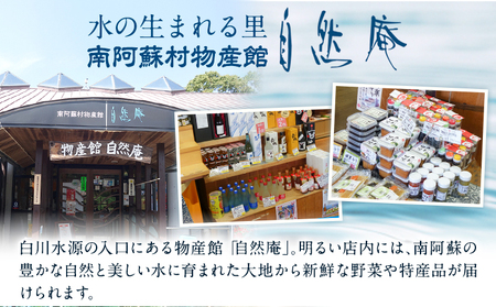 日本名水百選ミネラルウォーター「南阿蘇・白川水源」定期便12ヶ月（2ヶ月ごと発送：計6回）2L×6本入2ケース《申込み翌月から発送》熊本県 南阿蘇村 物産館自然庵 水 ミネラルウォーター