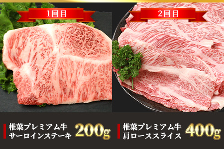 【定期便6回】総重量3.1kg 椎葉プレミアム牛満喫定期便≪ステーキ・すき焼き・しゃぶしゃぶ・焼き肉≫ 国産牛 黒毛和牛 和牛 牛肉 赤身 肉 定期便 ステーキ すき焼き しゃぶしゃぶ 焼肉 バーベキュー TK-56