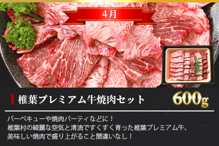 【定期便3回】総重量1.8kg 椎葉プレミアム牛 大自然の中で味わうBBQ定期便≪焼き肉・ステーキ≫ 国産牛 黒毛和牛 和牛 牛肉 赤身 肉 サーロイン ステーキ バーベキュー 焼肉 TK-60