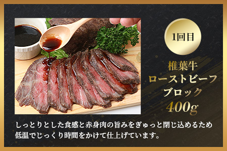 【定期便2回】総重量1kg 椎葉牛 ローストビーフとステーキの定期便 A5等級指定 国産牛 黒毛和牛 和牛 牛肉 赤身 肉 A5 ステーキ サーロイン ローストビーフ ブロック肉 焼肉 TK-64