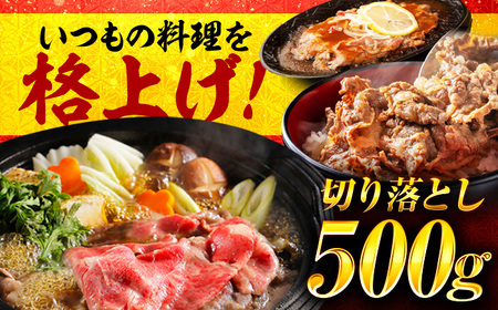 近江牛 すき焼き用 切り落し 500g 元三フード 近江牛 [BIBH005]