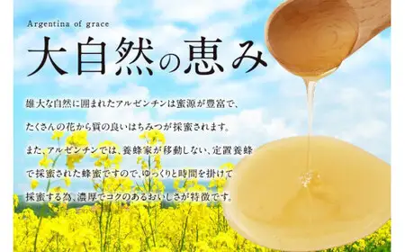 かの蜂 ピュアハニー【AR】500g プッシュボトル はちみつ 蜂蜜 ハチミツ 非加熱 純粋 アルゼンチン産 ハニー 保存食 防災グッズ 024-074