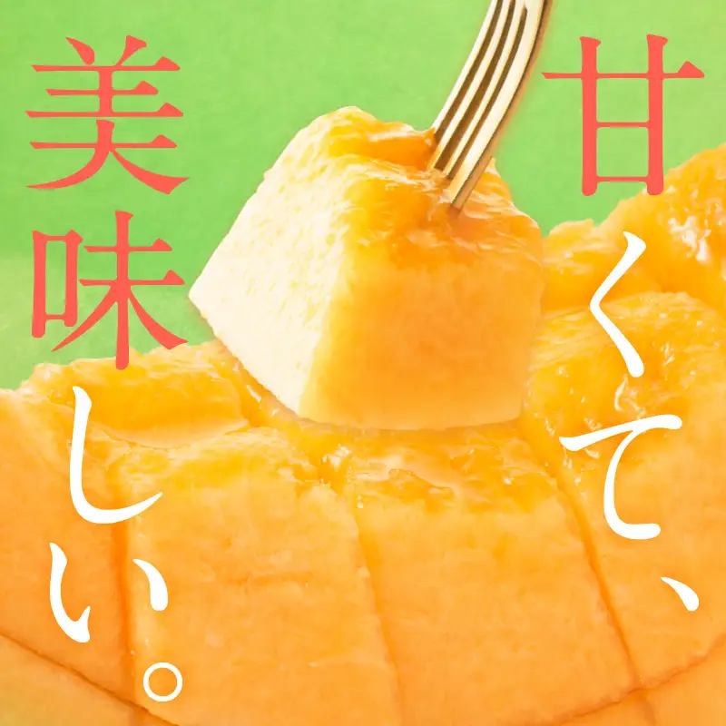 【数量限定100】ゆめろんファームの赤肉メロン（訳あり品）（2026年6月上旬～発送） 国産 ふるさと 納税 メロン 赤肉 1玉 ふるさと 納税 期間限定 ふるさと 納税 訳あり 規格外 フルーツ