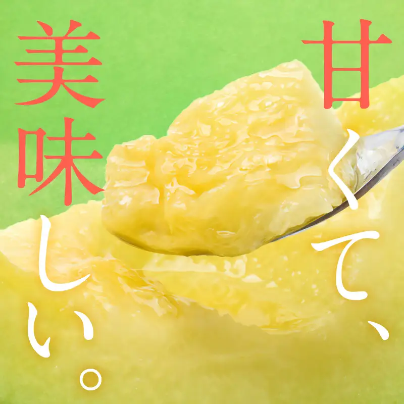 【数量限定100】ゆめろんファームの青肉メロン（訳あり品）（2026年6月上旬～発送） 国産 ふるさと 納税 メロン 青肉 1玉 ふるさと 納税 期間限定 ふるさと 納税 訳あり 規格外 ふるさと 納税 フルーツ