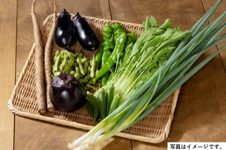 ＜２回　定期便＞【JA全農京都】半年に１回配送！季節の京野菜セット