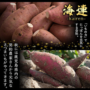 ＜定期便・全6回(隔月)＞鹿児島本格芋焼酎「伊七郎」黒瀬安光作(計36本・720ml×6本×6回)国産 芋焼酎 いも焼酎 お酒 セット 限定焼酎 アルコール【海連】akn016-16